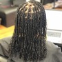 Flat Twists w/ Extensions