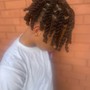 Starter locs