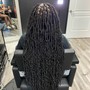 Root Touch Up