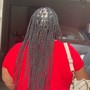 LARGE Box Braids