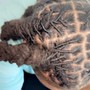 Wrap around starter Locs