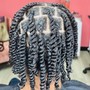 Two strand Twist (full head)