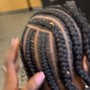 Braids for a wig