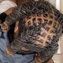 Starter Locs