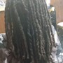 Extended Starter Locs