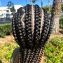 Two strand twists ( full head )