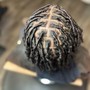 Starter Locs