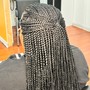 Medium Box Braids