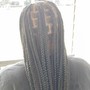 Feeder Braids