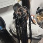 Boho Braids  mid back length