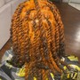 Natural Twists