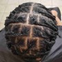 2 Strand Starter Locs