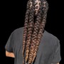 Braids w/crochet in the back