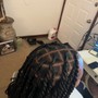 XSmall Box braids mid back