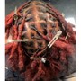 Starter Locs