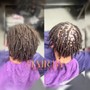 Mini Twists