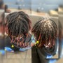 Starter Locs