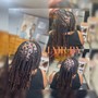 Short Butterfly Locs