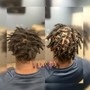 Starter Locs