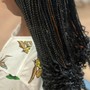 Kid's Braids (extensions)