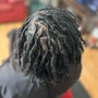 Starter Locs