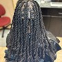 Starter Locs: Small Interlocks