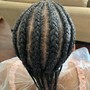 Hair subsections/braid down