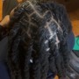 Take Down Braids/Twists