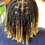 Natural Twists