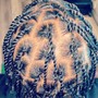 Feed-In braids