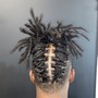 Starter Locs