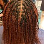 Natural Twists