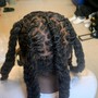 Individual plaits