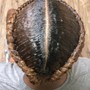 Large Island Twist