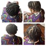 Comb Twist (Coils)