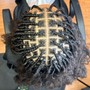 Medium Kinky Twist