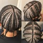 Box Braids sm/med