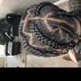 Havana Twists