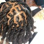 Starter Locs - Small - Full