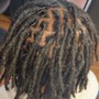 Starter Locs