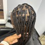 Mini Braids-Add-On to Feeder Braids