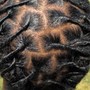 Starter Locs