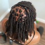 Starter Locs ( Longer than mid-back length)