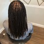 Starter Locs ( Longer than mid-back length)