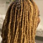 Box Braids on Slight Fade – Shoulder Length or Shorter