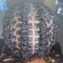 Spring Twists