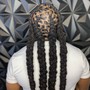 Starter Locs - Interlock method