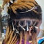 Kids starter locs