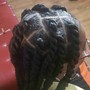 Half Feed In Half Crochet Braids