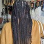 Tree Braids